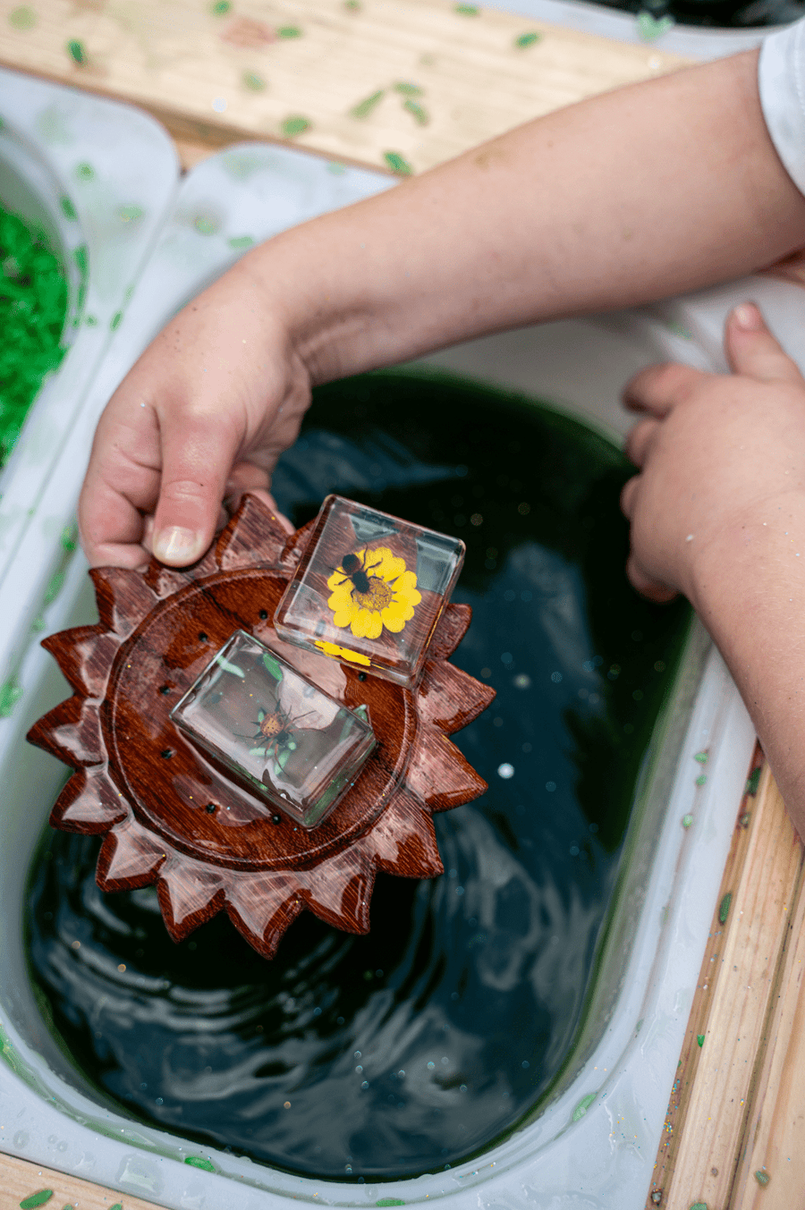 Bee and Flower Specimen - Our Earth Life