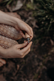 Bird Call - Our Earth Life