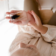 Black Cicada Specimen - Our Earth Life