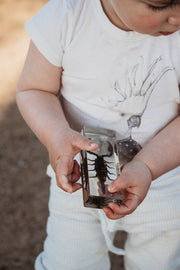 Black Scorpion Specimen - Our Earth Life