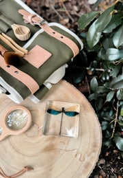 Blue Damselfly Specimen - Our Earth Life