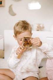 Common Tiger Butterfly Specimen - Our Earth Life