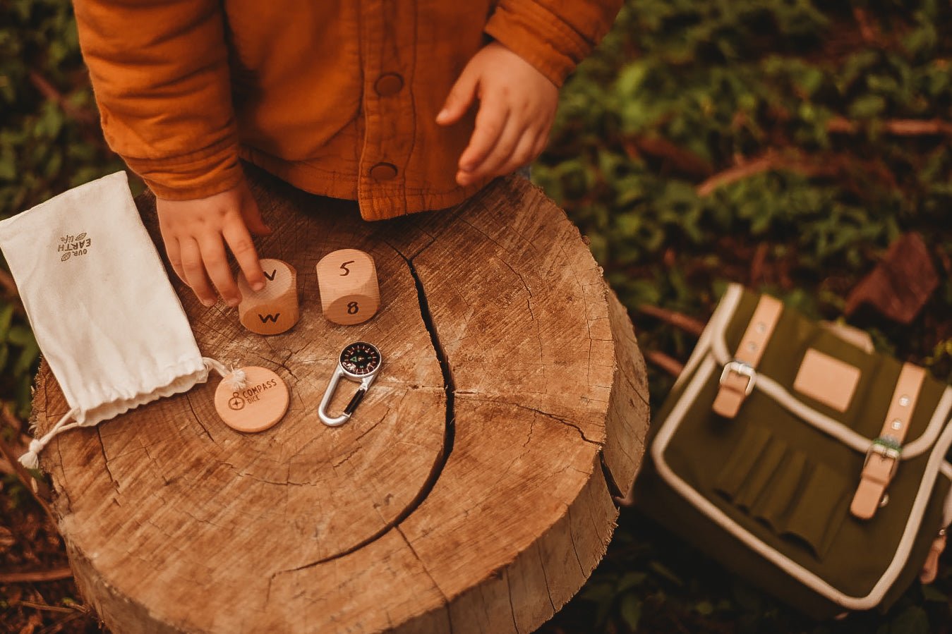 Compass Dice - Our Earth Life