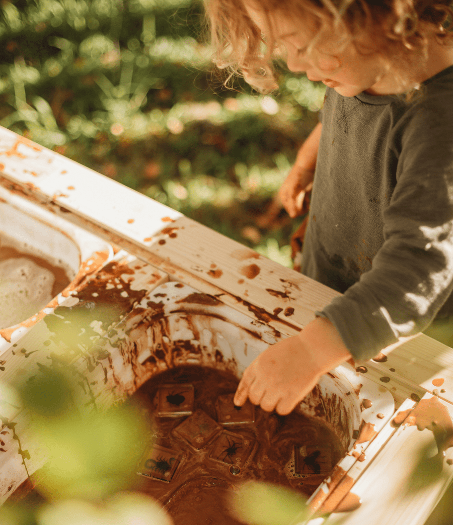 Creepy Crawlers Specimen Set - Our Earth Life