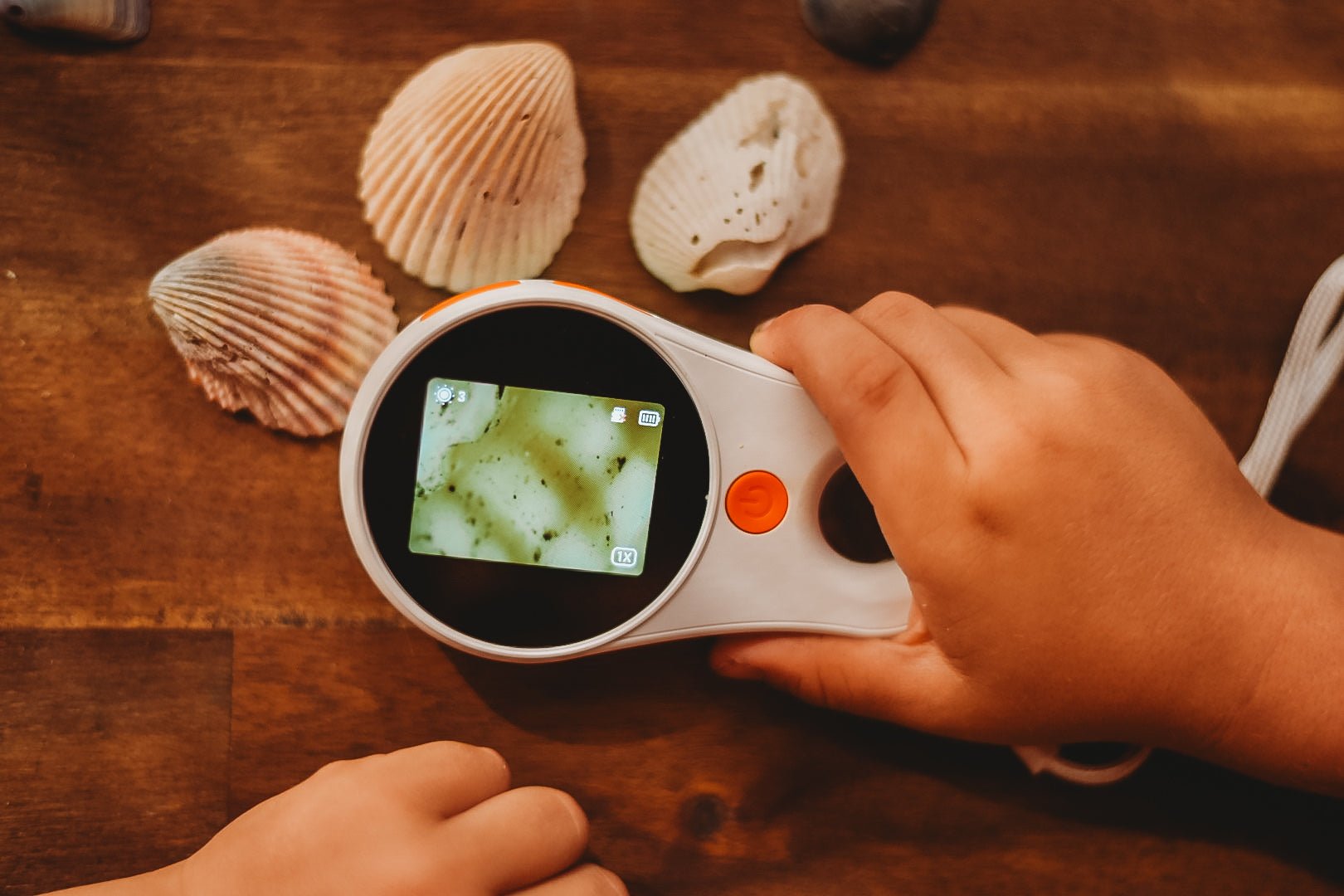 Digital Microscope - Our Earth Life