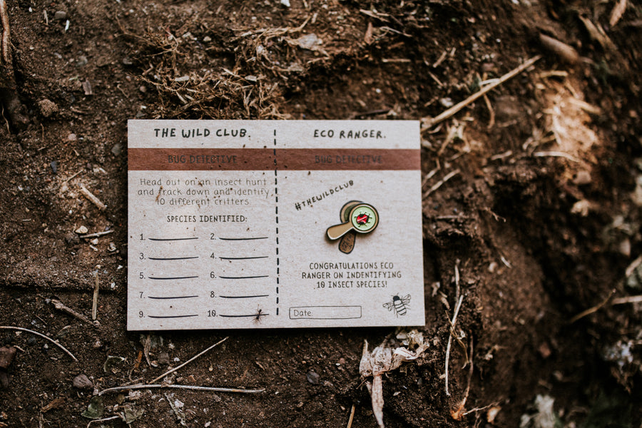 Eco Ranger Box #1