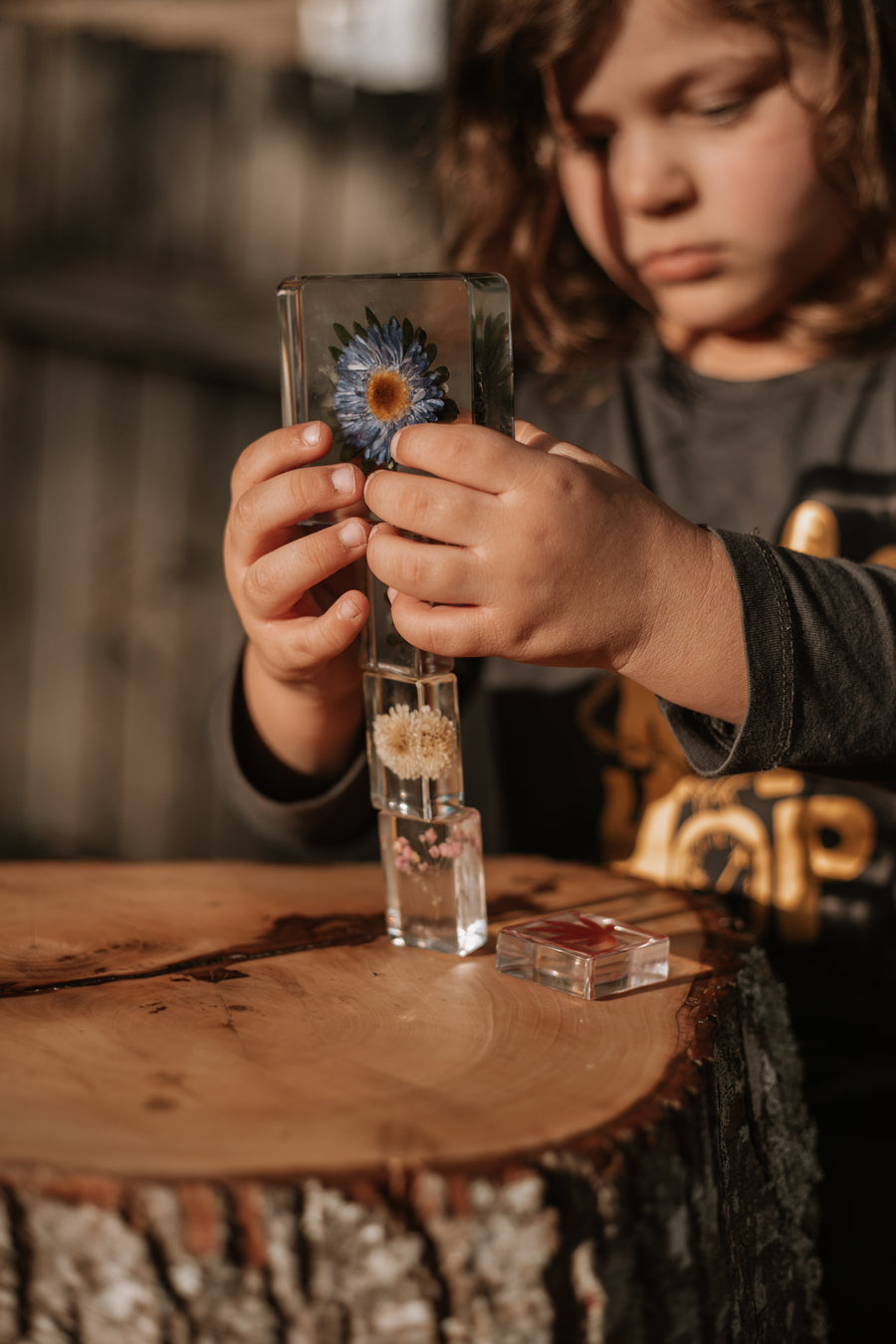 Flora Specimen Set - Our Earth Life