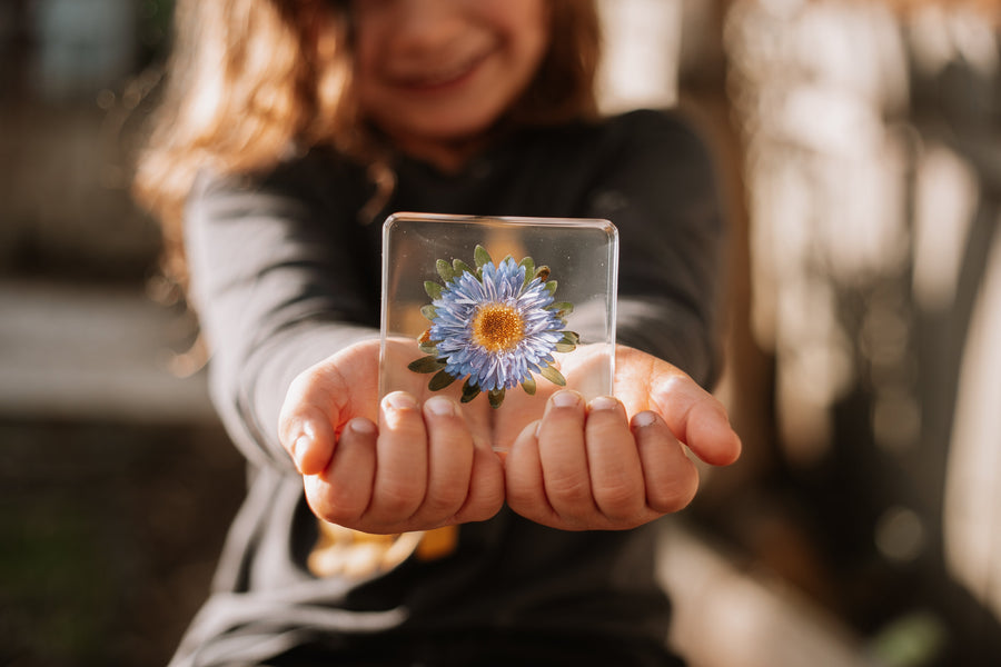 Flora Specimen Set - Our Earth Life