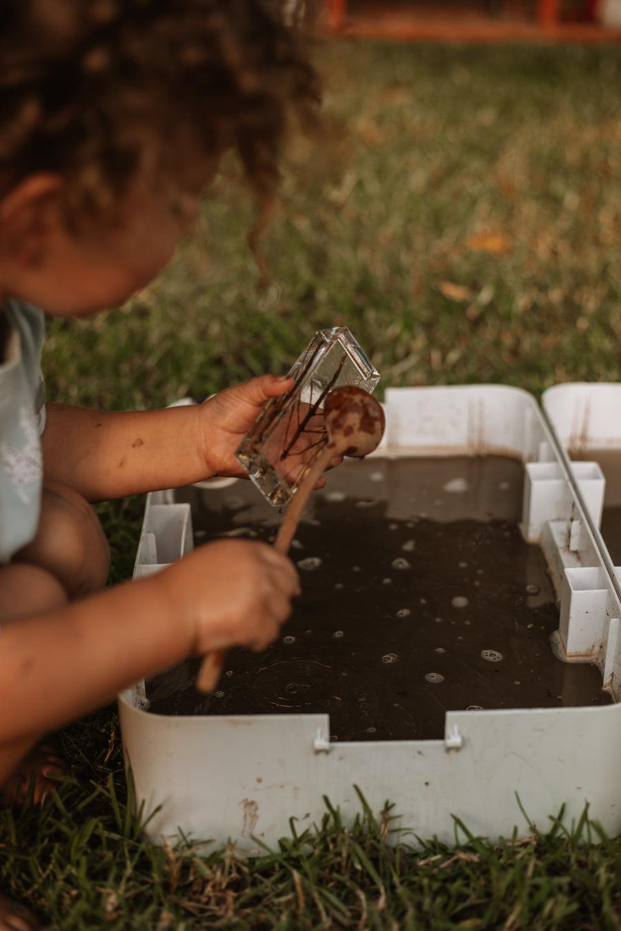 Garden Bug Specimen Set - Our Earth Life