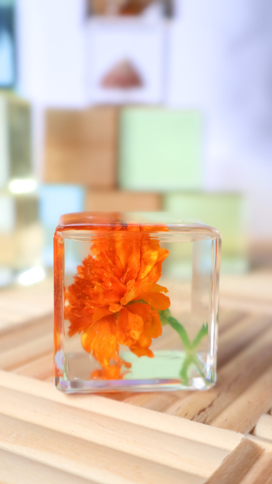 Marigold Flower Specimen Cube - Our Earth Life