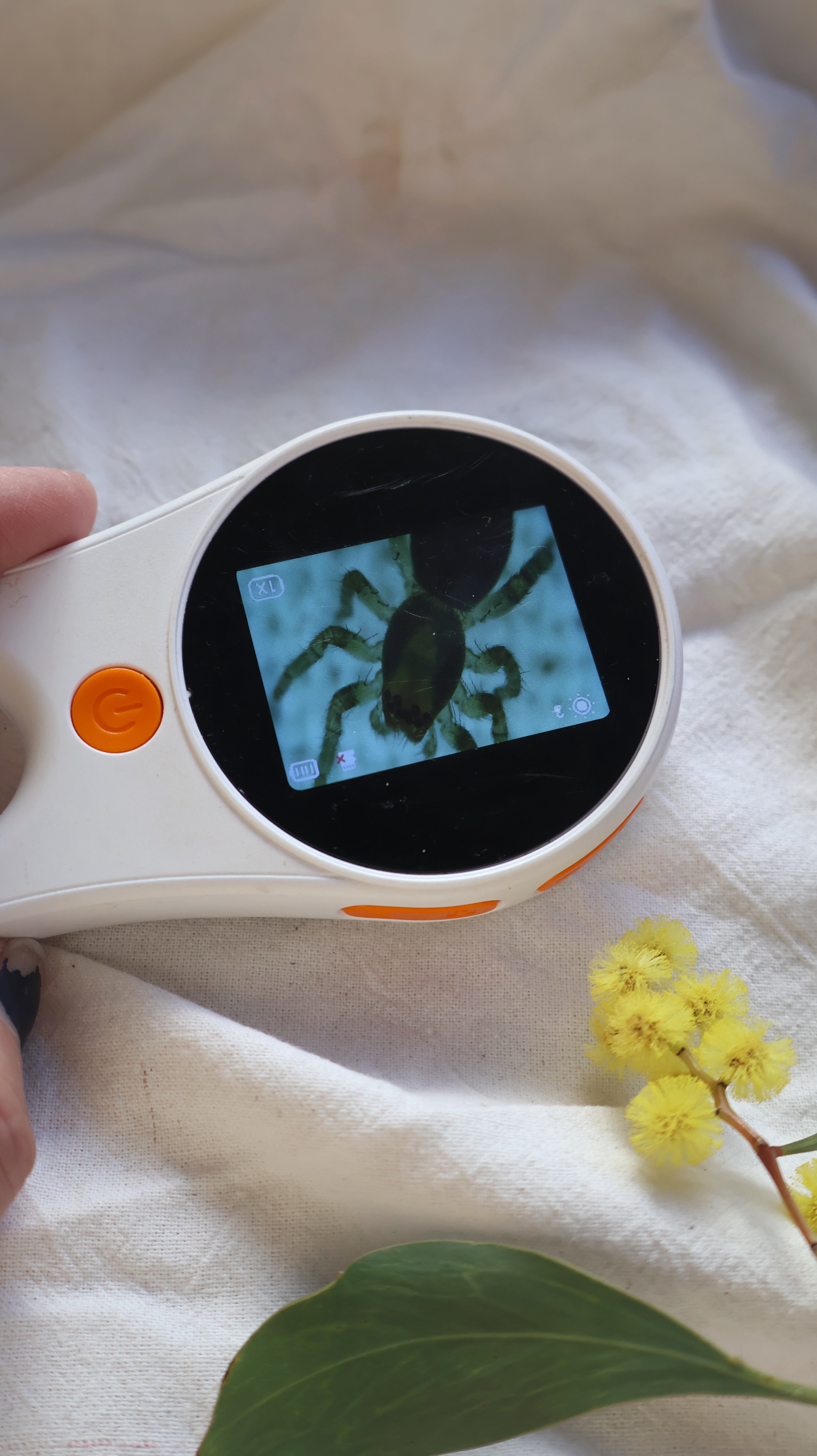 Digital Microscope