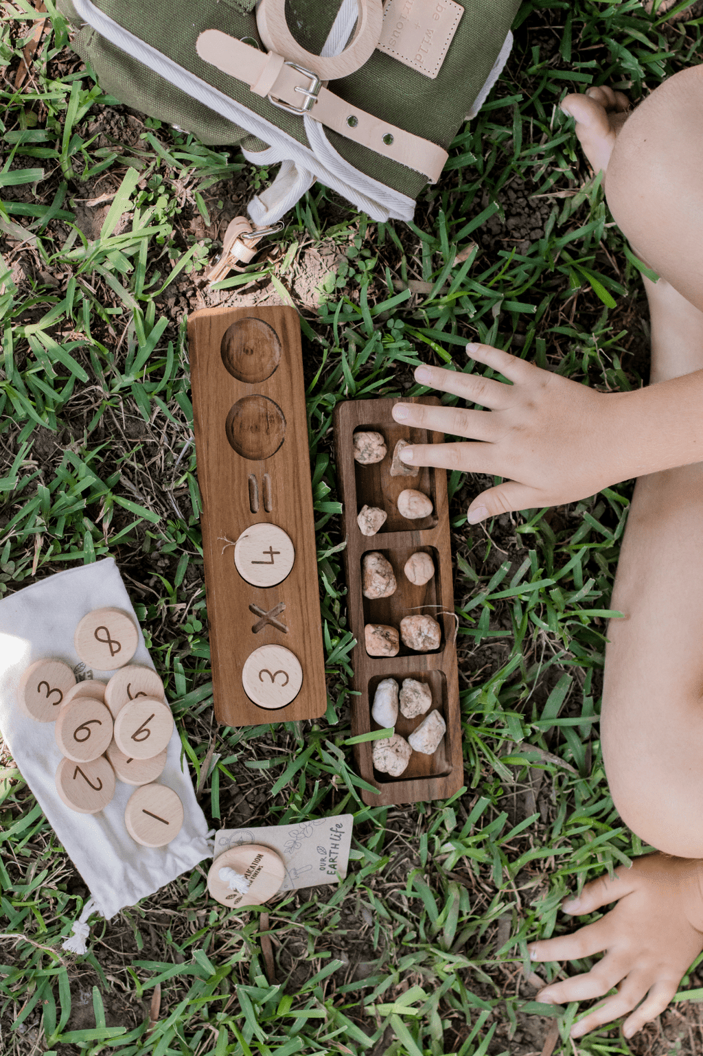 Mini Sorting Tray | Wooden Learning + Homeschool Resources – Our Earth Life