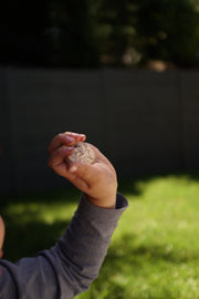 Move like Nature (Movement Game) - Our Earth Life