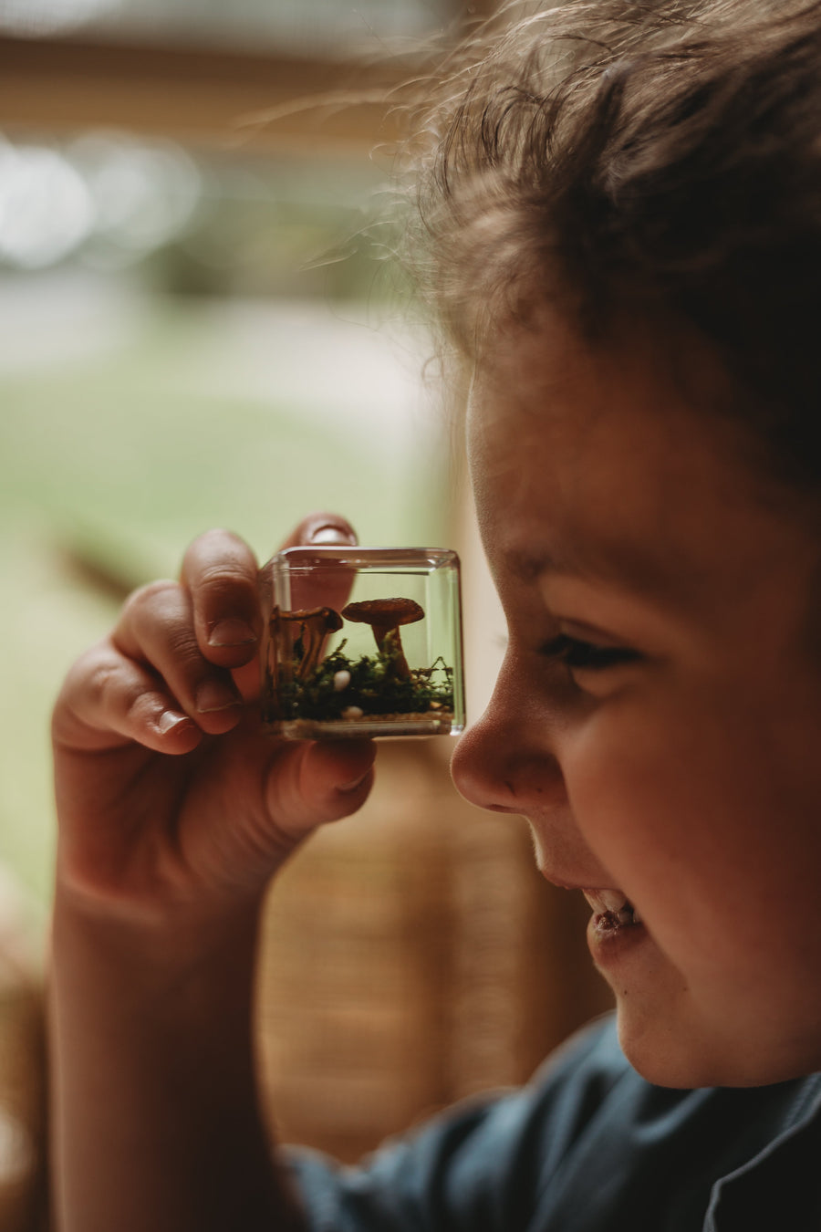 Mushroom and Moss Specimen Cube - Our Earth Life