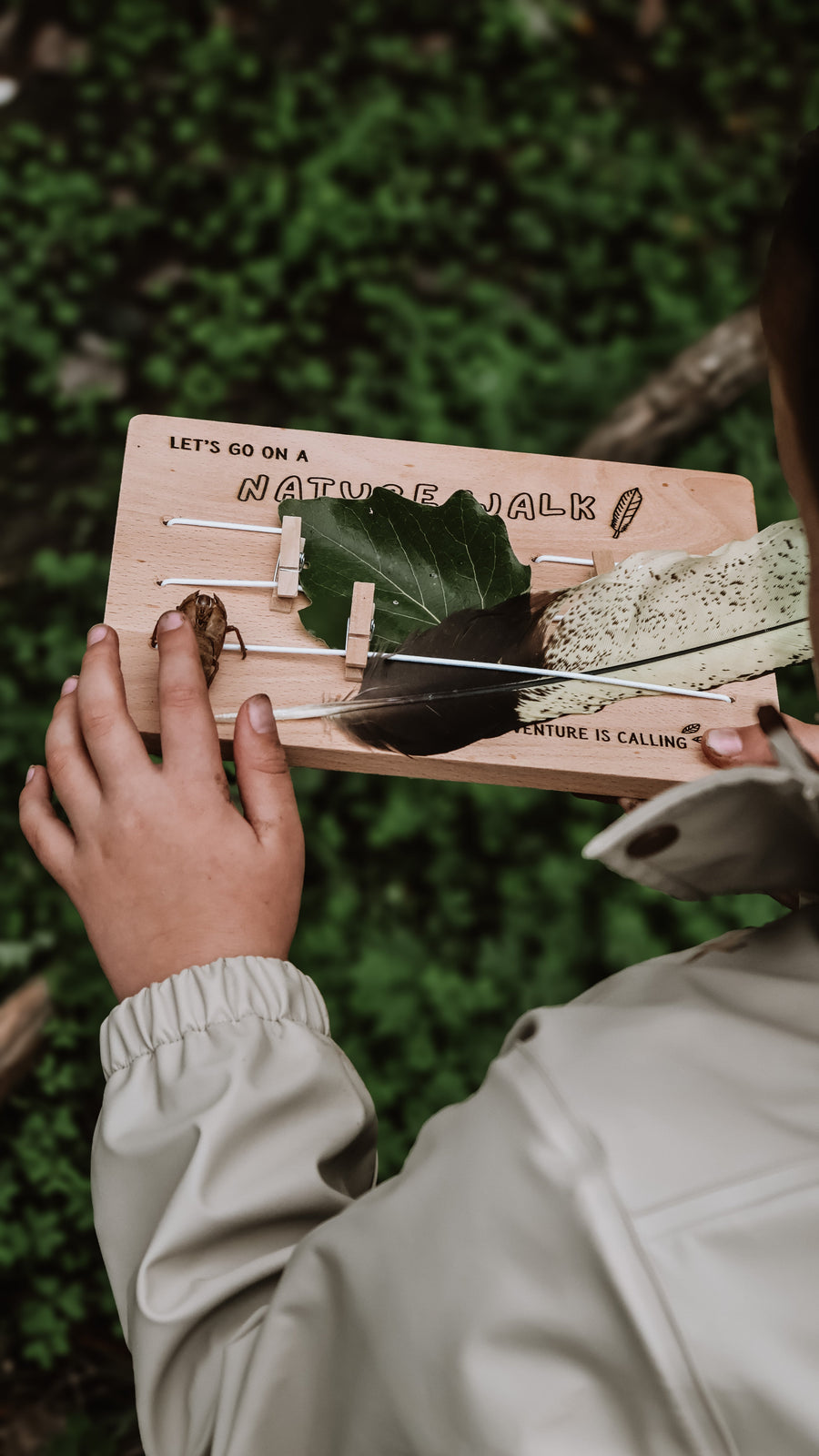 Nature Board - Our Earth Life