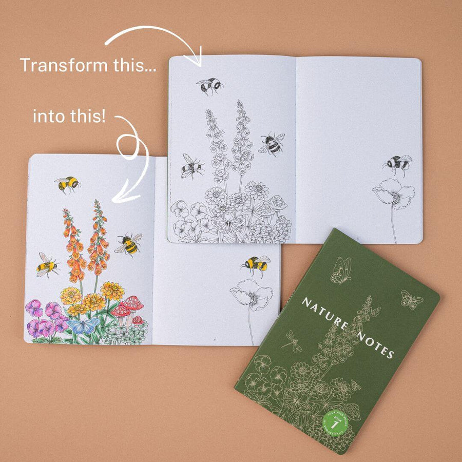 Nature Notes: Book 1 - Our Earth Life