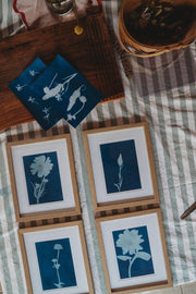 Nature Print Kit - Our Earth Life