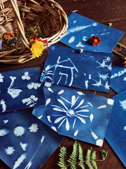 Nature Print Kit - Our Earth Life