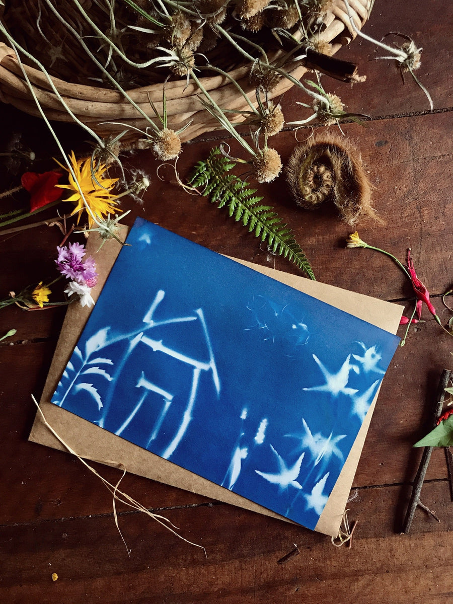 Nature Print Kit - Our Earth Life