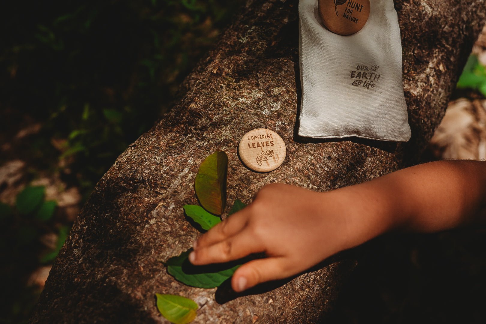 Nature Scavenger Hunt Tokens - Our Earth Life