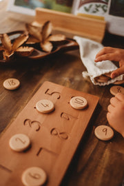 Number Tokens - Our Earth Life