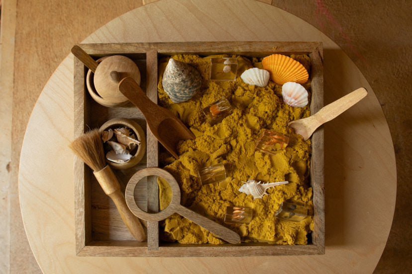 Ocean Explorer Specimen Set - Our Earth Life