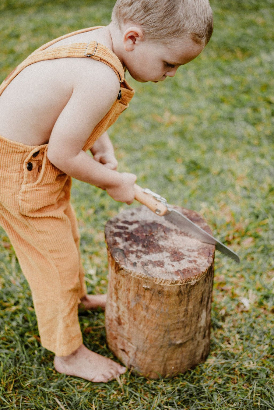 Opinel 18 Folding Saw - Our Earth Life