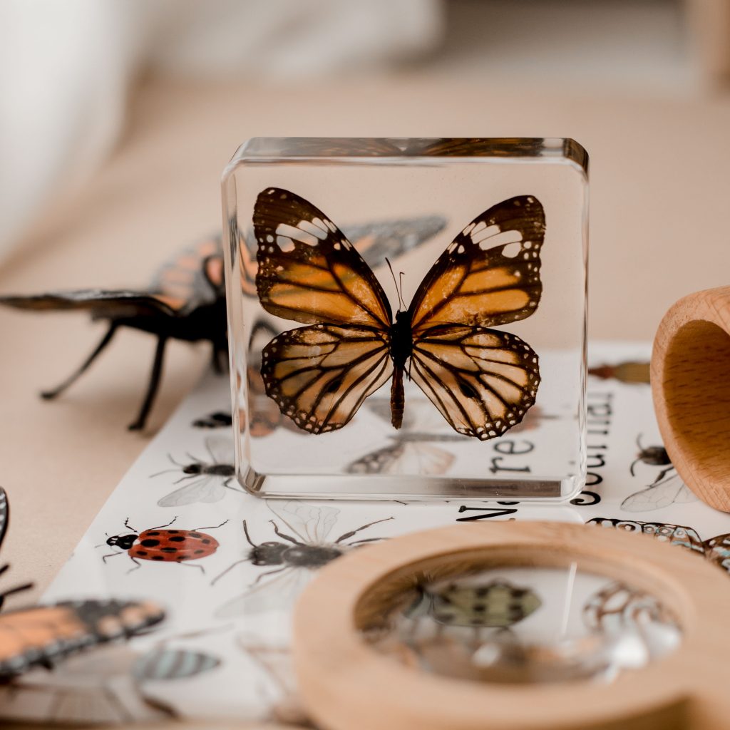 Spring Specimen Bundle
