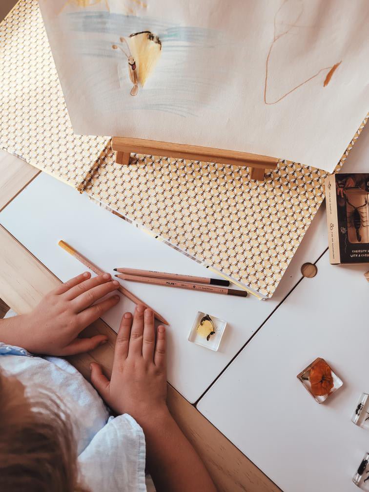 Pollinator Pals Specimen Set - Our Earth Life