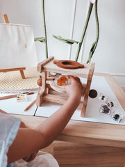 Pollinator Pals Specimen Set - Our Earth Life