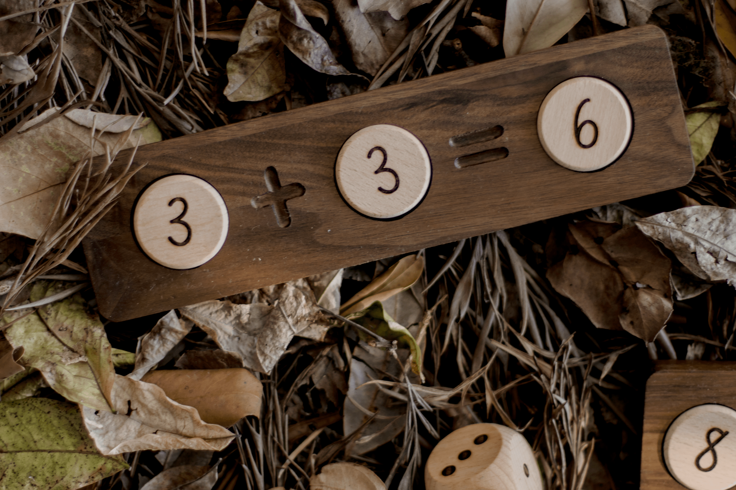 Reversible Math Tray + Tokens - Our Earth Life