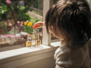 Sea Searchers Specimen Set - Our Earth Life