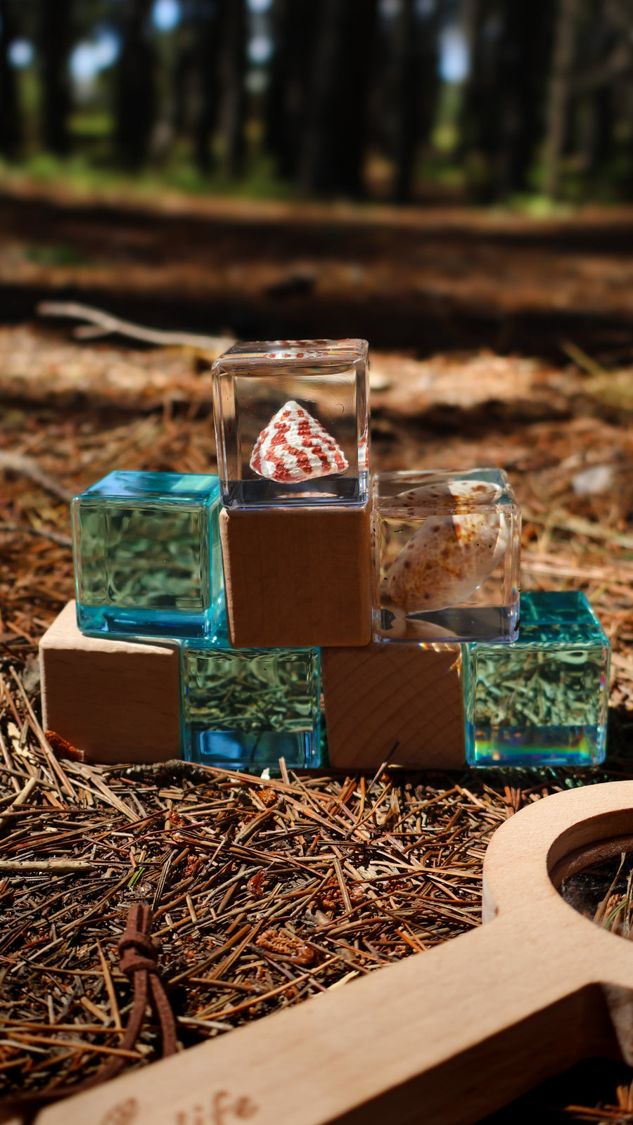 Shell Stackables Set - Our Earth Life