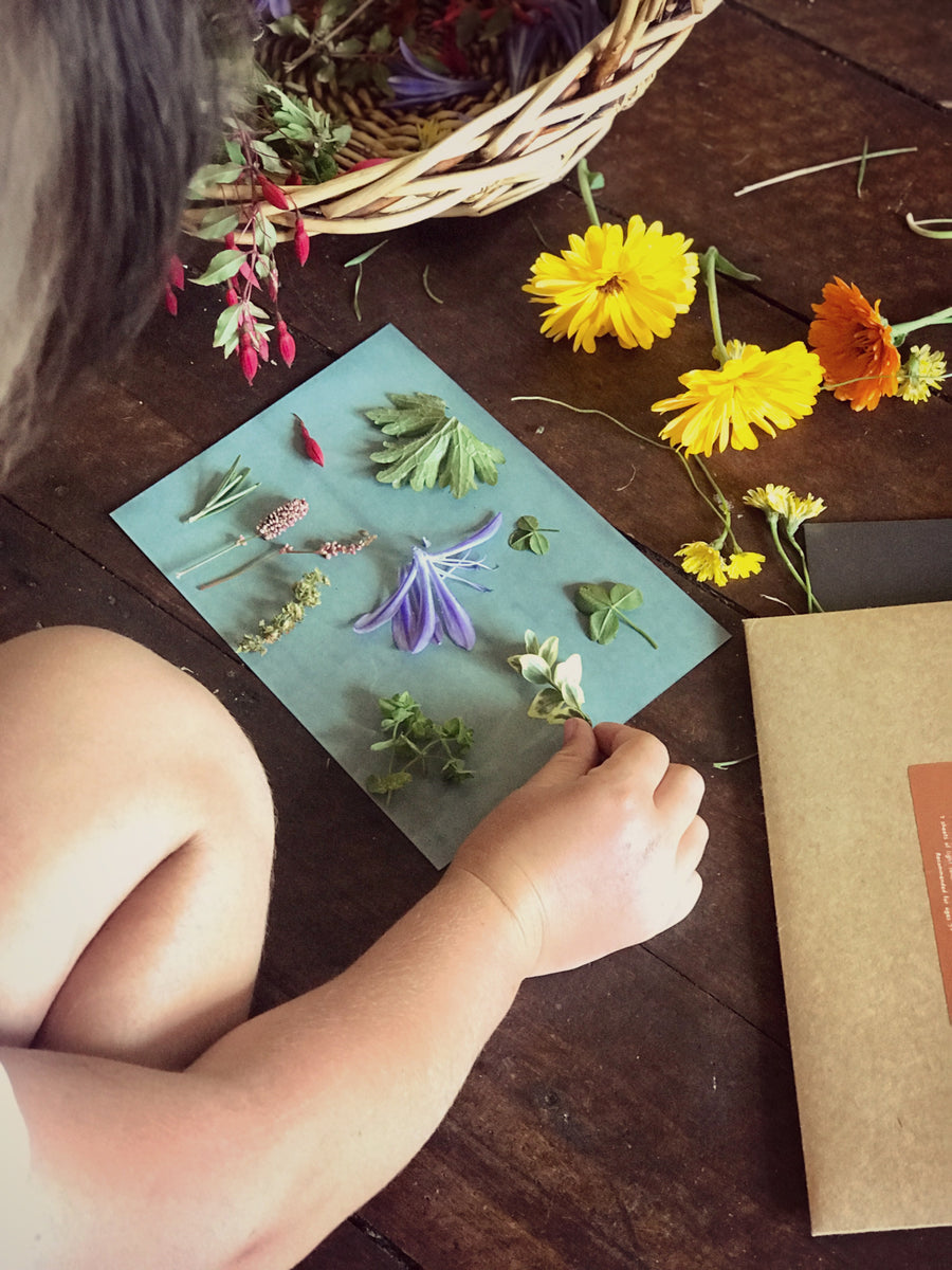 Nature Print Kit