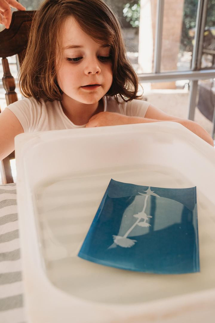 Nature Print Kit