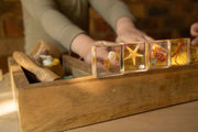 Ocean Explorer Specimen Set