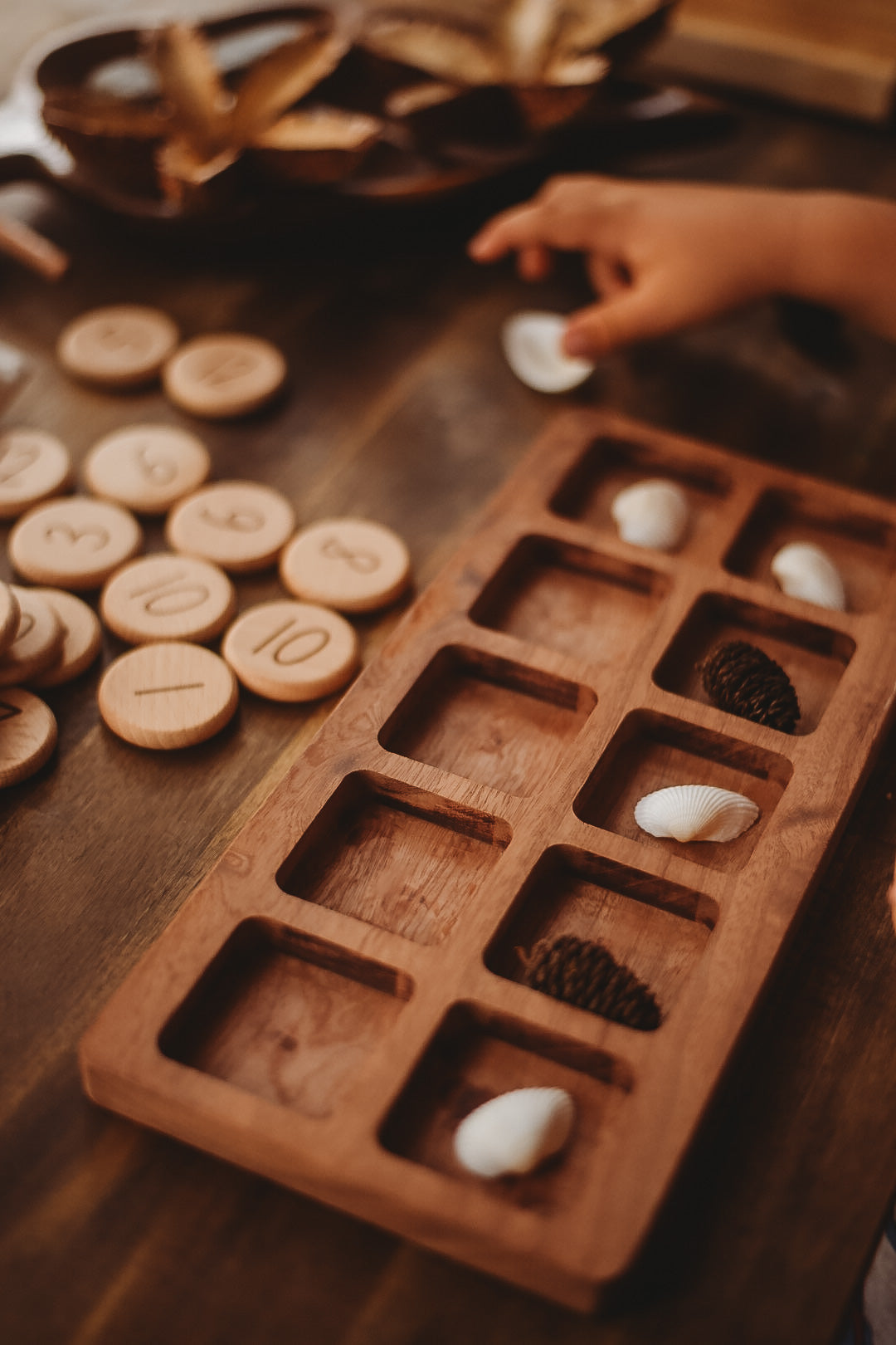 Tens Frame Sorting Tray