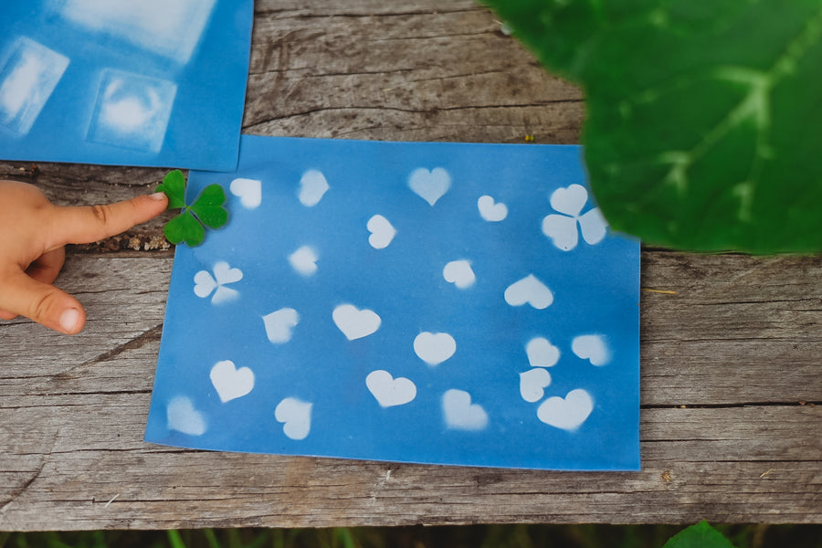 Nature Print Kit