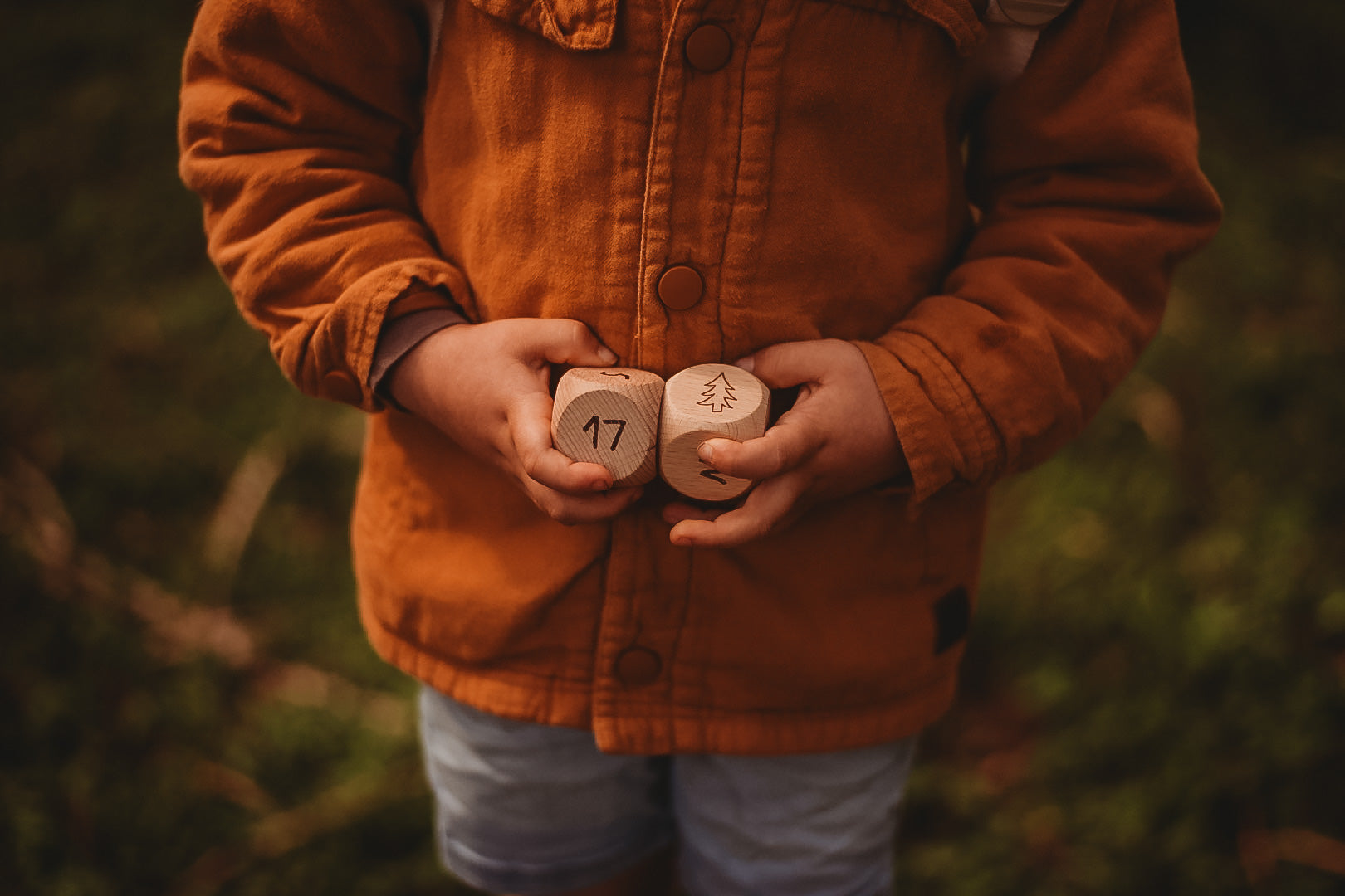 Compass Dice