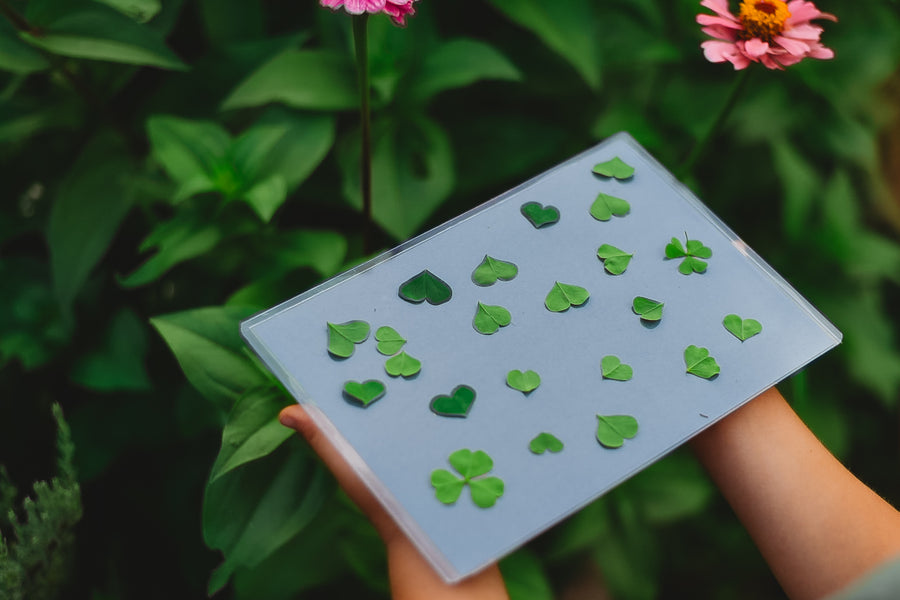 Nature Print Kit
