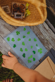 Nature Print Kit