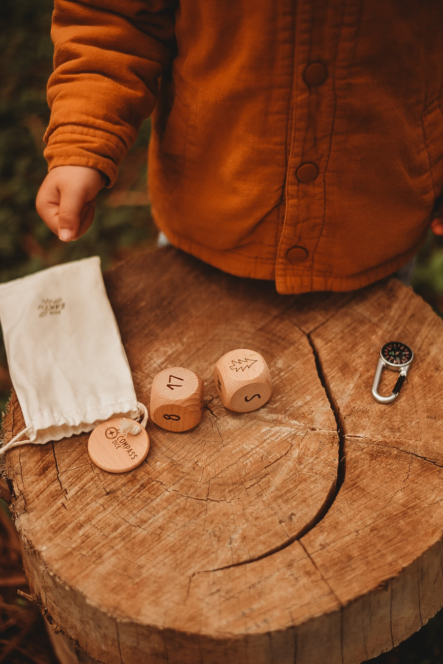 Compass Dice