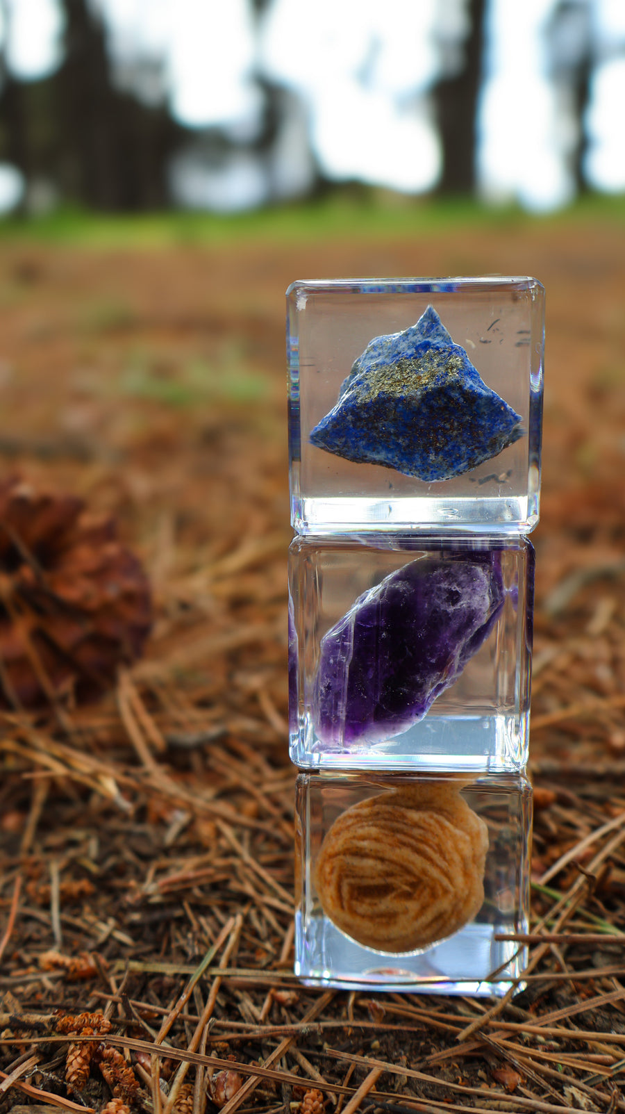 Trio of Stone Specimens - Our Earth Life