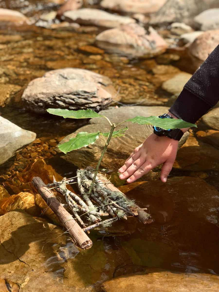 Wild Days: Outdoor Play for Young Adventurers - Our Earth Life