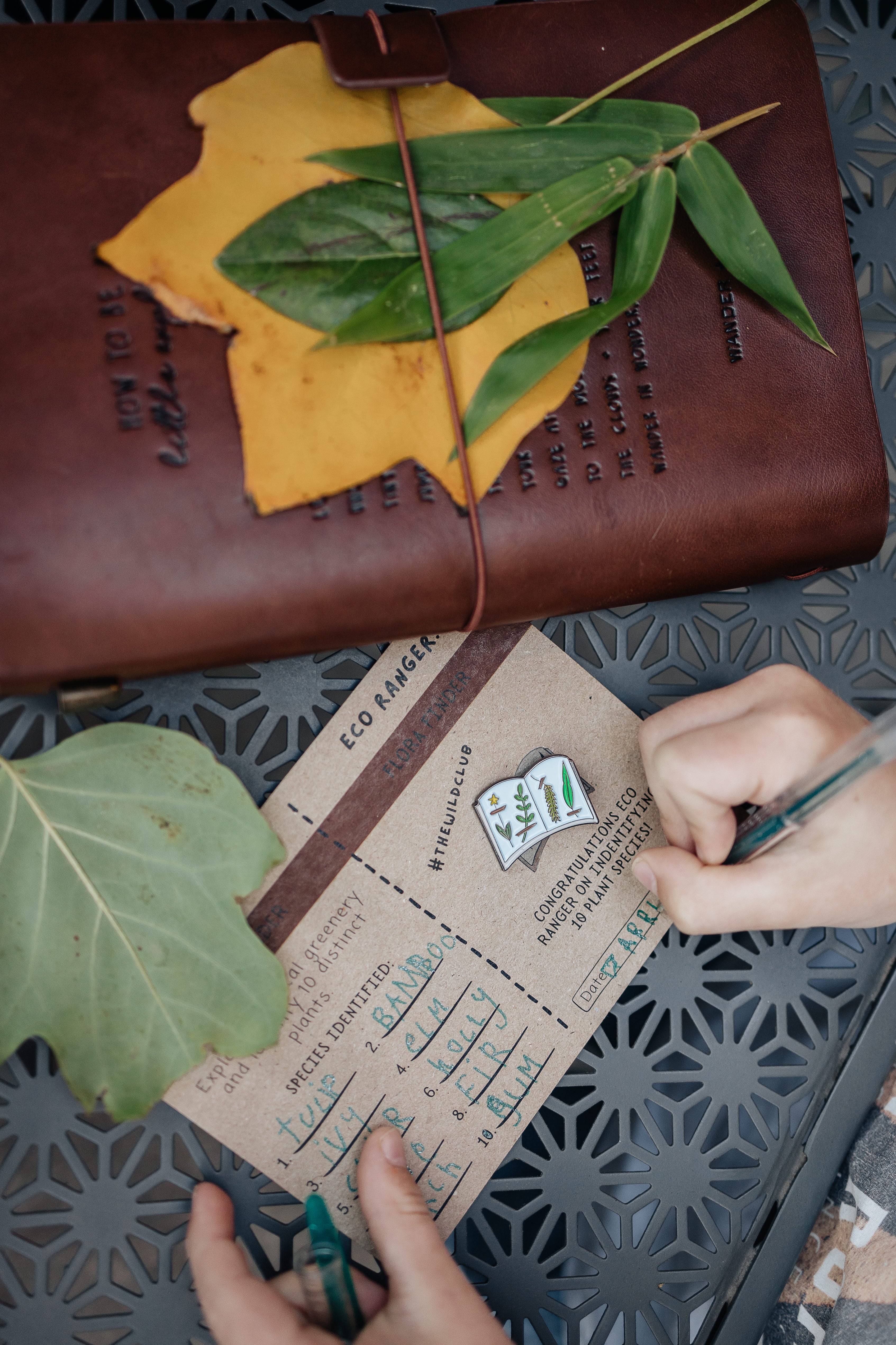 Eco Ranger Bundle