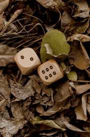 Wooden Dice - Our Earth Life