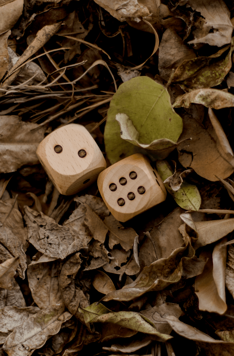 Wooden Dice - Our Earth Life
