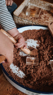 Wooden Discovery Brush - Our Earth Life